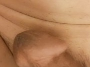 Erection and insertion POV 13/16