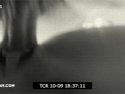 Pulsating Creampies Compilation 11/16