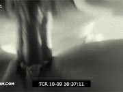 Pulsating Creampies Compilation 12/16