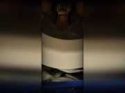 compilation of sissy cuck humiliation self piss in panties and in cock cage 15/16