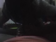 Morning Glory Bj 9/16