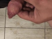 Pobudzenie kutaska 1/16