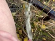 Pissing in a dress among golden aspens 12/16