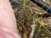 Pissing in a dress among golden aspens 14/16