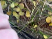 Pissing in a dress among golden aspens 16/16