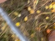 Pissing in a dress among golden aspens 5/16