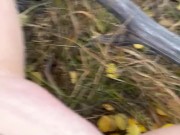 Pissing in a dress among golden aspens 6/16