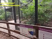 The Zoo makes MILF Wild 16/16