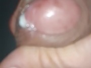 Mi sego dopo 4 giorni e esce 1 litro di sfaccimma 16/16