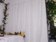 Surprise For My Editor 8/16