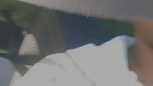 Pussy Fairy 🧚‍♀️ on the way