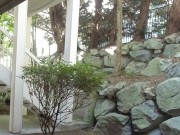 Public fucking my toy on my patio! Pool BBQ going on while I fuck my toy naked and cum! 9/16