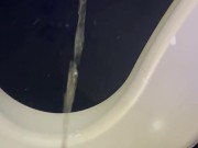 Can’t Hold My Pee On The Plane - Dane Coxx 6/16