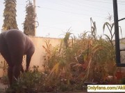 Village girl AKIILISA harvesting crop in the garden/Tshirt and panty sexy ass 10/16