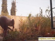 Village girl AKIILISA harvesting crop in the garden/Tshirt and panty sexy ass 9/16