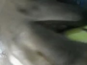 BIG BOOTY SHEMALE ANAL FUCK WITH A RIPE  BANANA 7/16