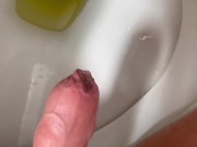 DADDY PISS to the toilet 💦.  Any volunteers to taste  uncut COCK ? 2/16