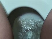 It's Pee time again 4/16