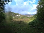 EVERYONE LOOK! EDUCATIONAL BEAUTIFUL VIDEO I TRIED and we were caught in the forest!) 2/16