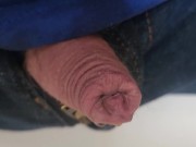 Pissing in the sunny kitchen 15/16