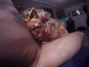 My little blonde wife is pulling my cock please suck it until your tears flow 2/16