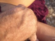 la tour du plaisir 11/16