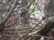 I jerk off in public place. Masturbate in the public park