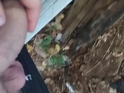 I jerk off in public place. Masturbate in the public park 9/16