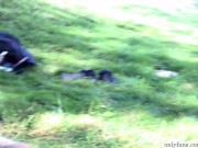 The Invigorating Energy of Nature 16/16