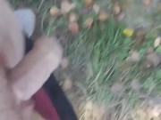 I walking in public place and jerk off cruising in the park 10/16