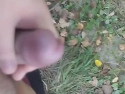 I walking in public place and jerk off cruising in the park 9/16