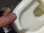 I jerk off my huge dick in the public toilet on gas station 8/16