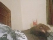 Almost got caught stroaking one by my ebony stepmom 1/16