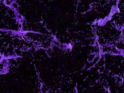 Friendzone Gay Humiliation BFF 1/16