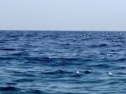 Wearing school uniforms and covered in lotion 7/16