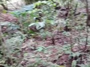 Colombian girl fucks in a ravine after a walk through the forest 1/16