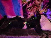 Kitty stuck edging in bed 14/16