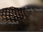 Lucky Vesabell 33 rd Floor Super Night 11/16