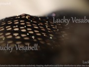 Lucky Vesabell 33 rd Floor Super Night 12/16