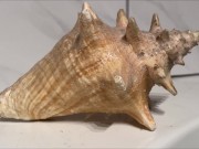 REMEMBERING YUCATAN 1 2/16