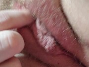 Chubby 21 year old college girl flicks her clit and cums 16/16