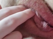 Chubby 21 year old college girl flicks her clit and cums 7/16