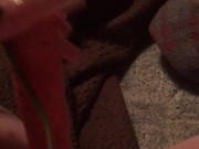 Carrot in pussy 11/16