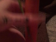 Carrot in pussy 15/16