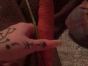 Carrot in pussy 2/16