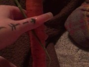 Carrot in pussy 4/16