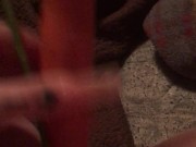 Carrot in pussy 8/16