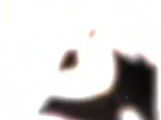 🇫🇷Babyfantasy83🇫🇷@mym.fans/babyfantasy83 - J’offre ma petite chatte en Gangbang dans un sex shop 6/16