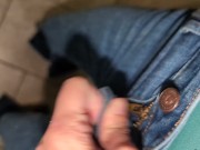 Pissing in the Toilet 3/16