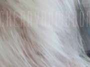 The best part of waking up is BBC for breakfast 5/16